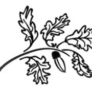 Sonoma Scent Studio logo