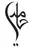 Hamidi logo