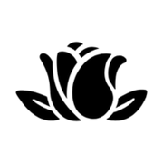 Jimmy Boyd logo