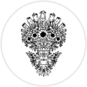 Acqua Di Stresa logo