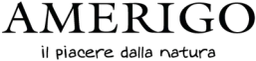 Amerigo logo