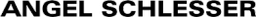Angel Schlesser logo