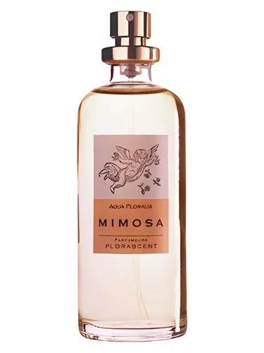 Mimosa — Florascent