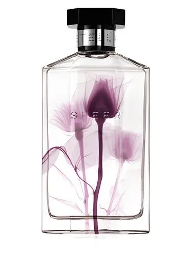 Sheer Stella 2011 — Stella Mccartney
