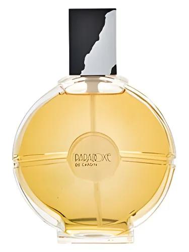 Paradoxe — Pierre Cardin
