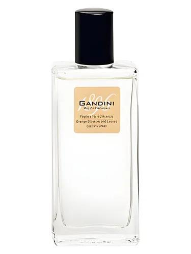 Orange Blossom and Leaf — Gandini 1896