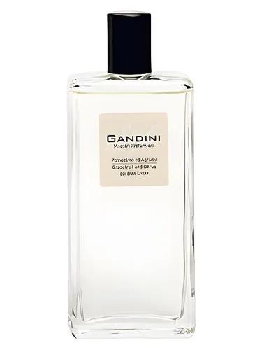 Grapefruit and Citrus — Gandini 1896