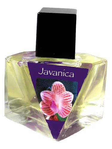 Javanica — Olympic Orchids Artisan Perfumes