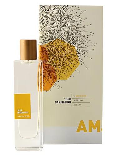 A Rather Novel Collection 1856 Darjeeling by Adriana Medina — Anthropologie