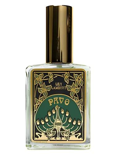 Pavo — Lily Lambert