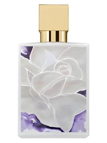 Iced White — A Dozen Roses
