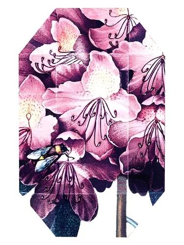 Print Collection Stella 01 (2011) — Stella Mccartney