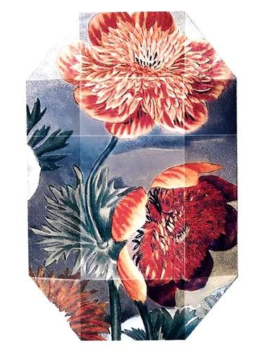 Print Collection Stella 03 (2011) — Stella Mccartney