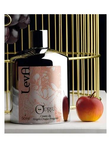 Leva O'Driu — O'Driù