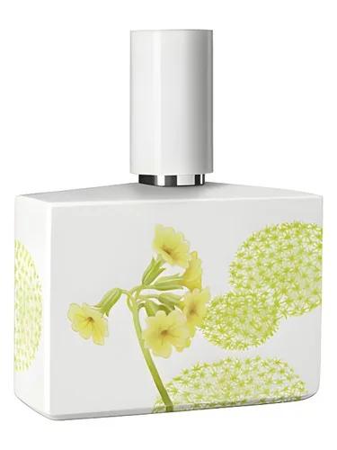 Bosque Limited Porcelain Edition Humiecki & Graef — Humiecki Graef