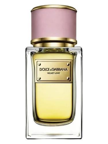 Velvet Love — Dolce & Gabbana