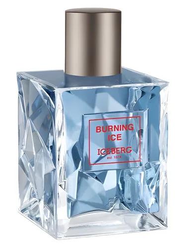 Burning Ice — Iceberg