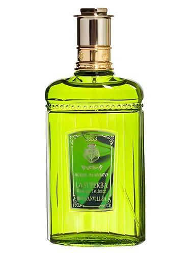 Bougainvellea — Acqua Di Genova