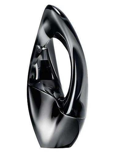 Woman — Donna Karan