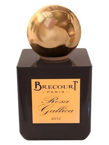 Rosa Gallica — Brecourt