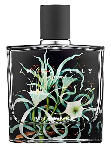 Amazon Lily — Nest