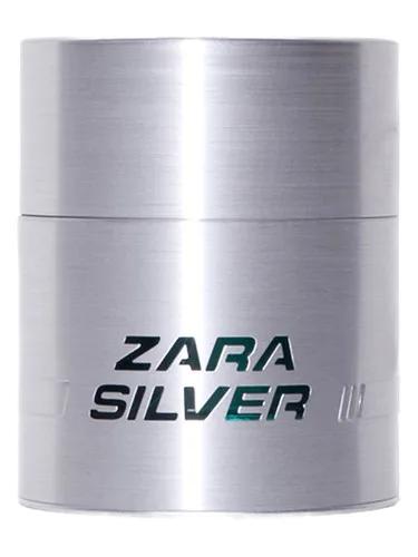 Zara Silver — Zara