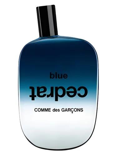 Blue Cedrat — Comme Des Garçons