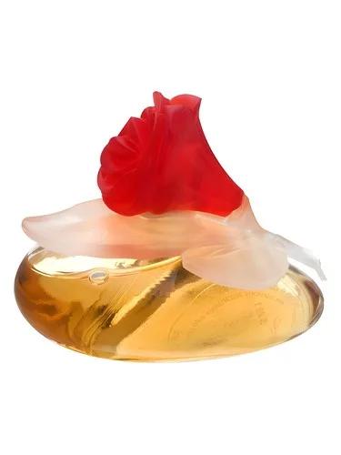 Fiorilù en Fleur — Pupa