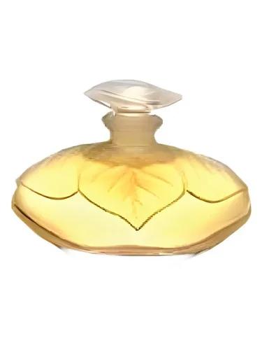 Elle — Lancetti