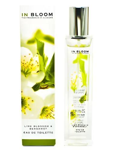 Lime Blossom and Bergamot Marks & Spencer — Marks & Spencer