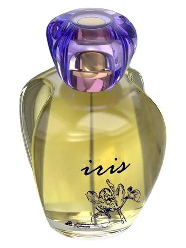 Iris — Asgharali