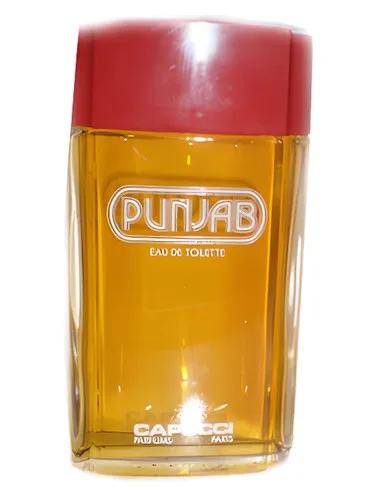 Punjab — Roberto Capucci