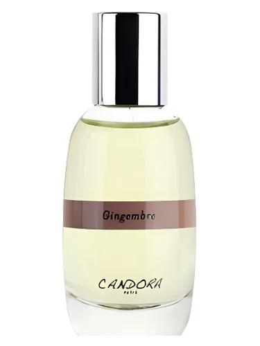 Gingembre — Candora