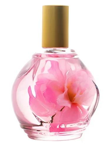 Parfum d'Ambiance Rose — Guy Bouchara