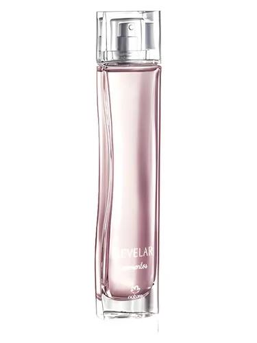 Revelar Momentos — Natura