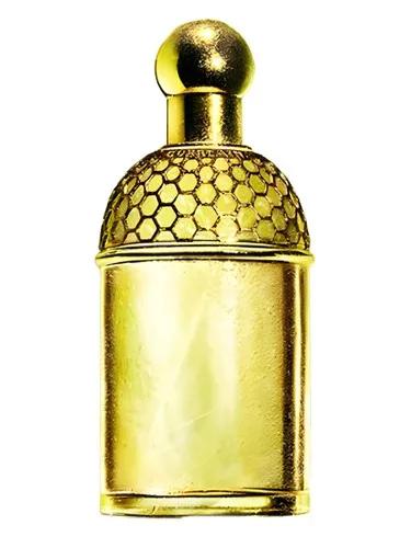 Aqua Allegoria Laurier - Reglisse — Guerlain