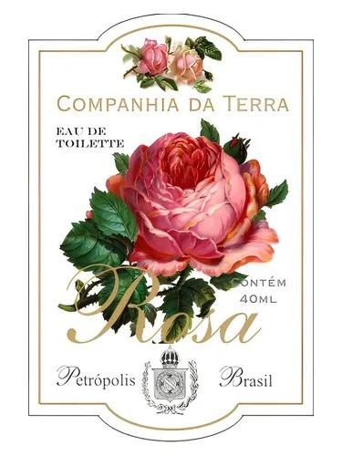 Rosa — Companhia da Terra