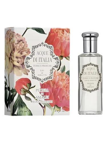 Peonia di Amalfi — Acque di Italia