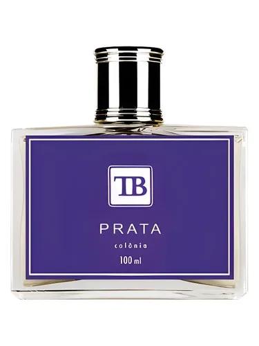 Prata Contemporaneo Tania Bulhões — Tania Bulhoes