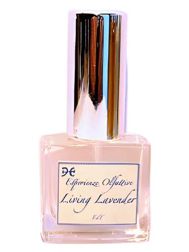 Living Lavender — Esperienze Olfattive