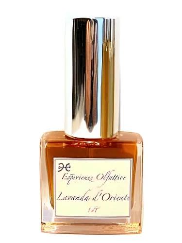 Lavanda d'Oriente — Esperienze Olfattive