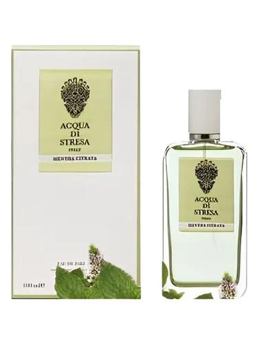 Mentha Citrata — Acqua Di Stresa