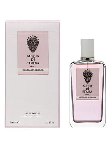 Camellia Soliflor — Acqua Di Stresa