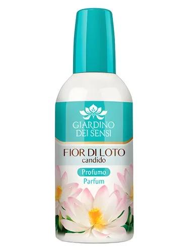 Fior di Loto Candido — Giardino Dei Sensi