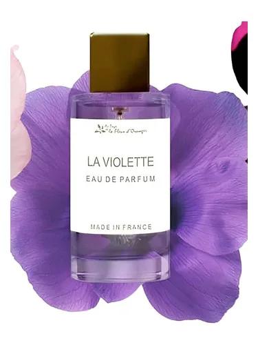La Violette Au Pays de la Fleur d’Oranger — Au Pays De La Fleur D’Oranger