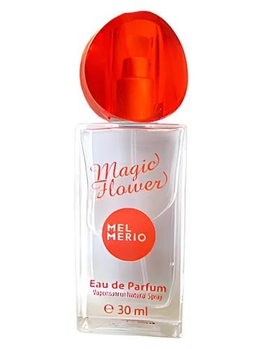 Magic Flower — Mel Merio