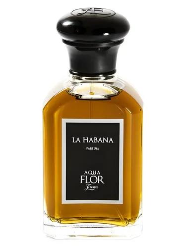 La Habana — Aquaflor Firenze