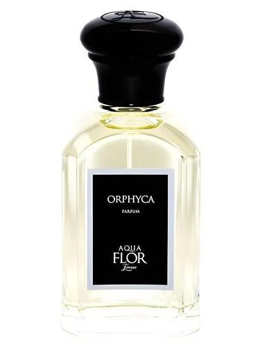 Orphyca — Aquaflor Firenze