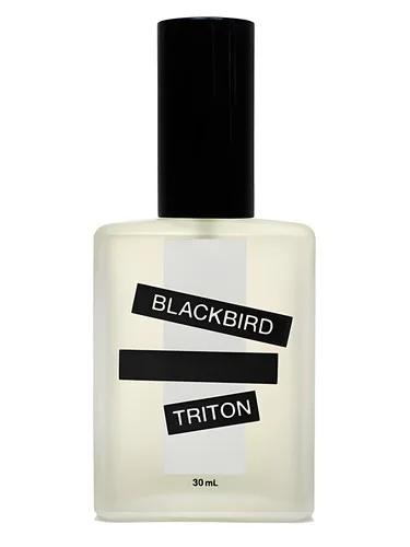 Triton — Blackbird