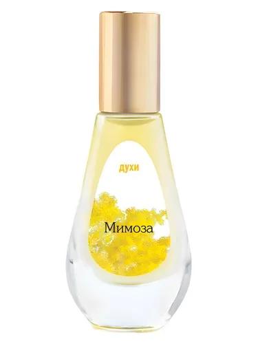 Mimoza Dilís Parfum — Dilis Parfum